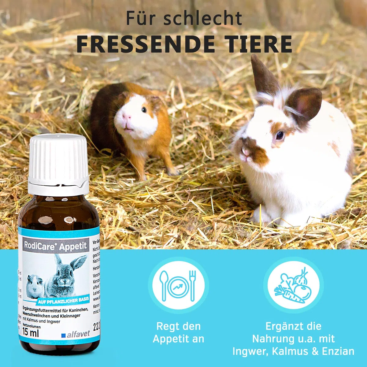 Alfavet RodiCare Appetit für schlecht fressende Nager, Ergänzungsfuttermittel für Kaninchen, Meerschweinchen und Kleinnager, 15 ml mit Dosierspritze