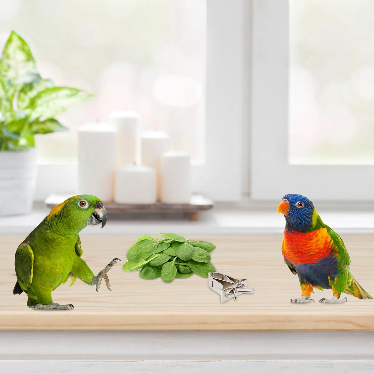 Cabilock 5 Stück Wiederverwendbare Vogelfutterclips aus Edelstahl Leichte Gemüseklammern für Vogelkäfige zum Füttern von Papageien und Anderen Vögeln