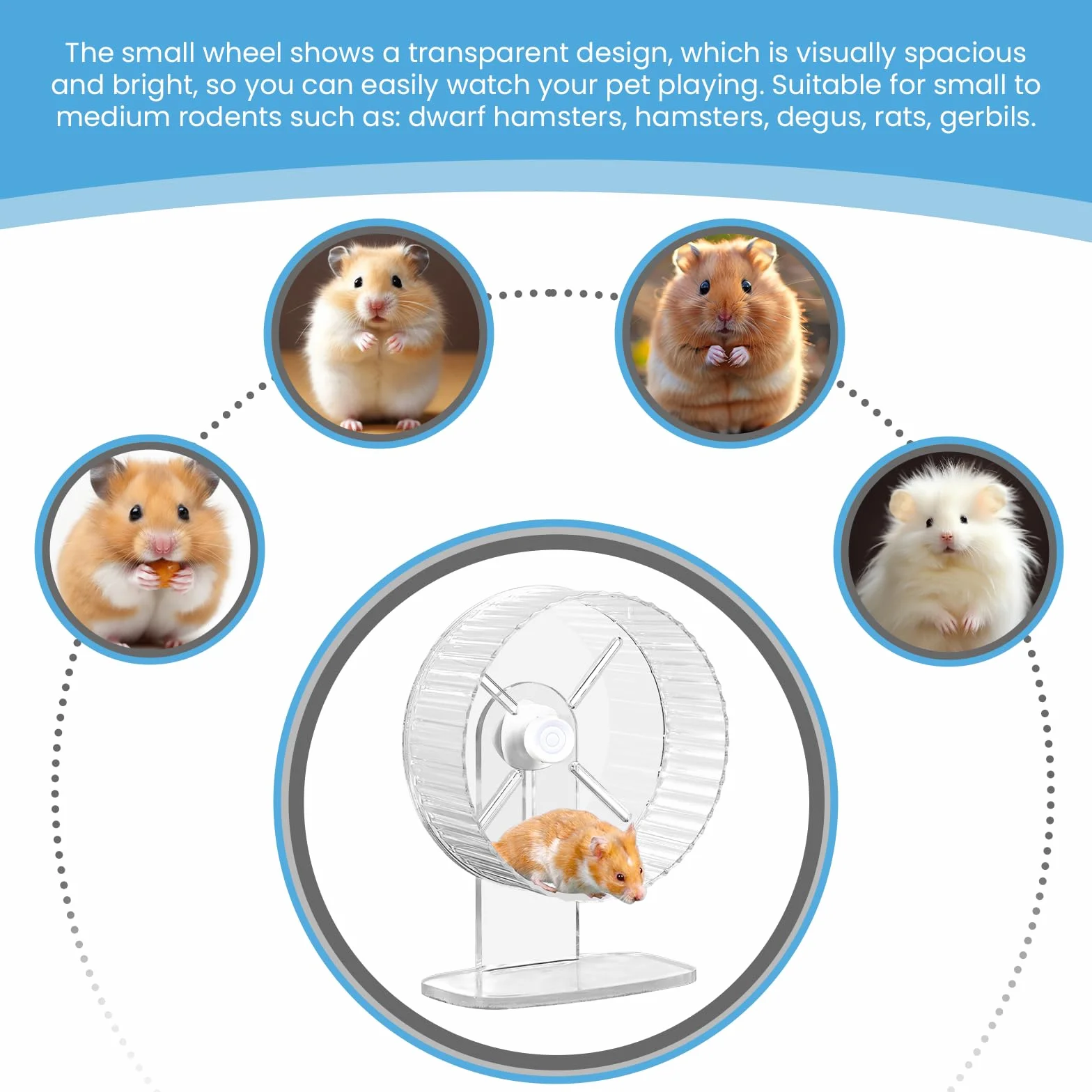 Hamsterrad, 21cm Silent Hamster Rad, Silent Wheel, Super silents Hamster Übungsräder, Laufrad Hamsters, Einstellbarer Stand Silents Hamsterz Rad für Gerbils, Mäuse, Kleines Haustier