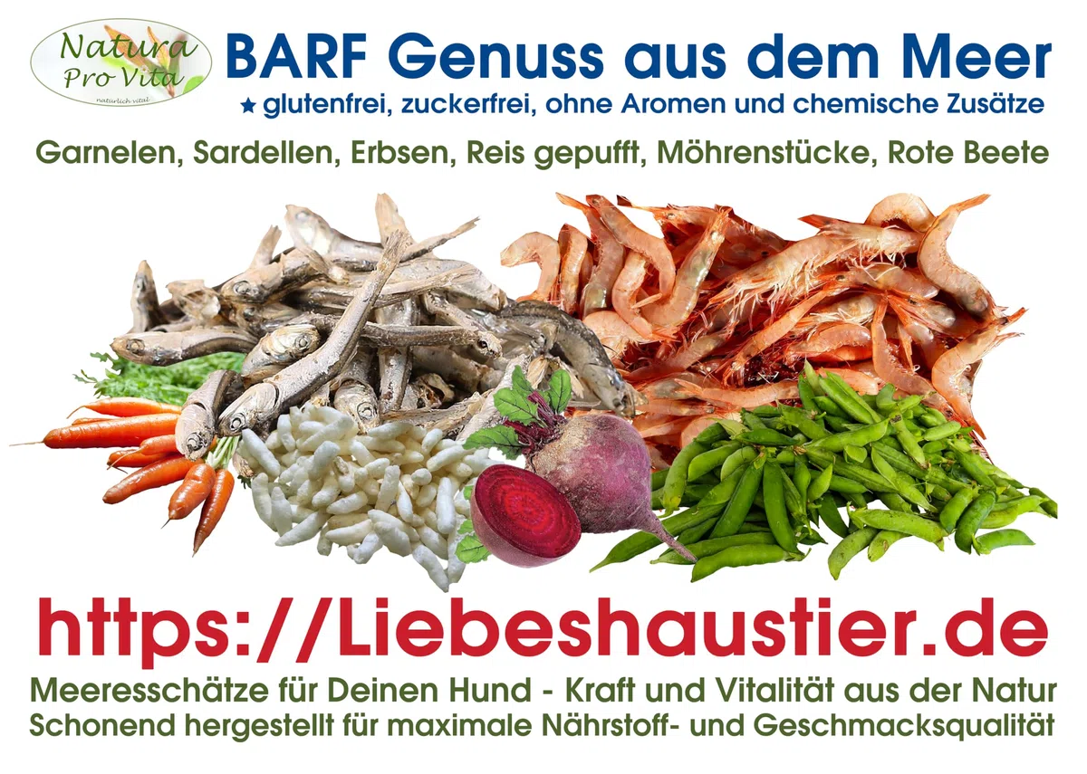 Gemüsemix Hund Barf Zusatz proteinreich Garnelen Fisch Reis Omega-3 Meeresgenuss für Hunde 500g