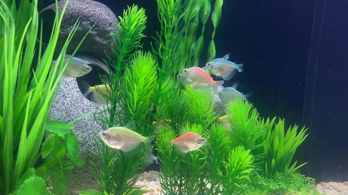 18 STÜCKE künstliche Aquarium alle grünen Pflanzen Set, künstliche Kunststoffpflanzen gefälschte Wasserpflanzen künstliche Fisch Tank Pflanzen für Aquarium Dekorationen