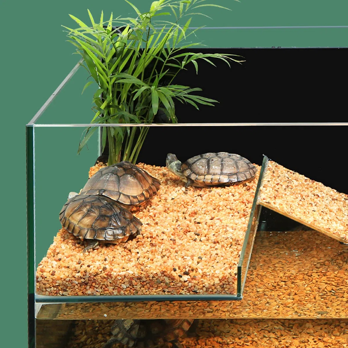 Schildkrötenpanzer Turtle-Tank mit Balkon, frei von Wasser Ersatz, Turtle-Tank ökologische Villa Schildkrötenkasten Bottom Row Turtle Tank Side Back Wasserfiltertank für drinnen und draußen ( Size : S