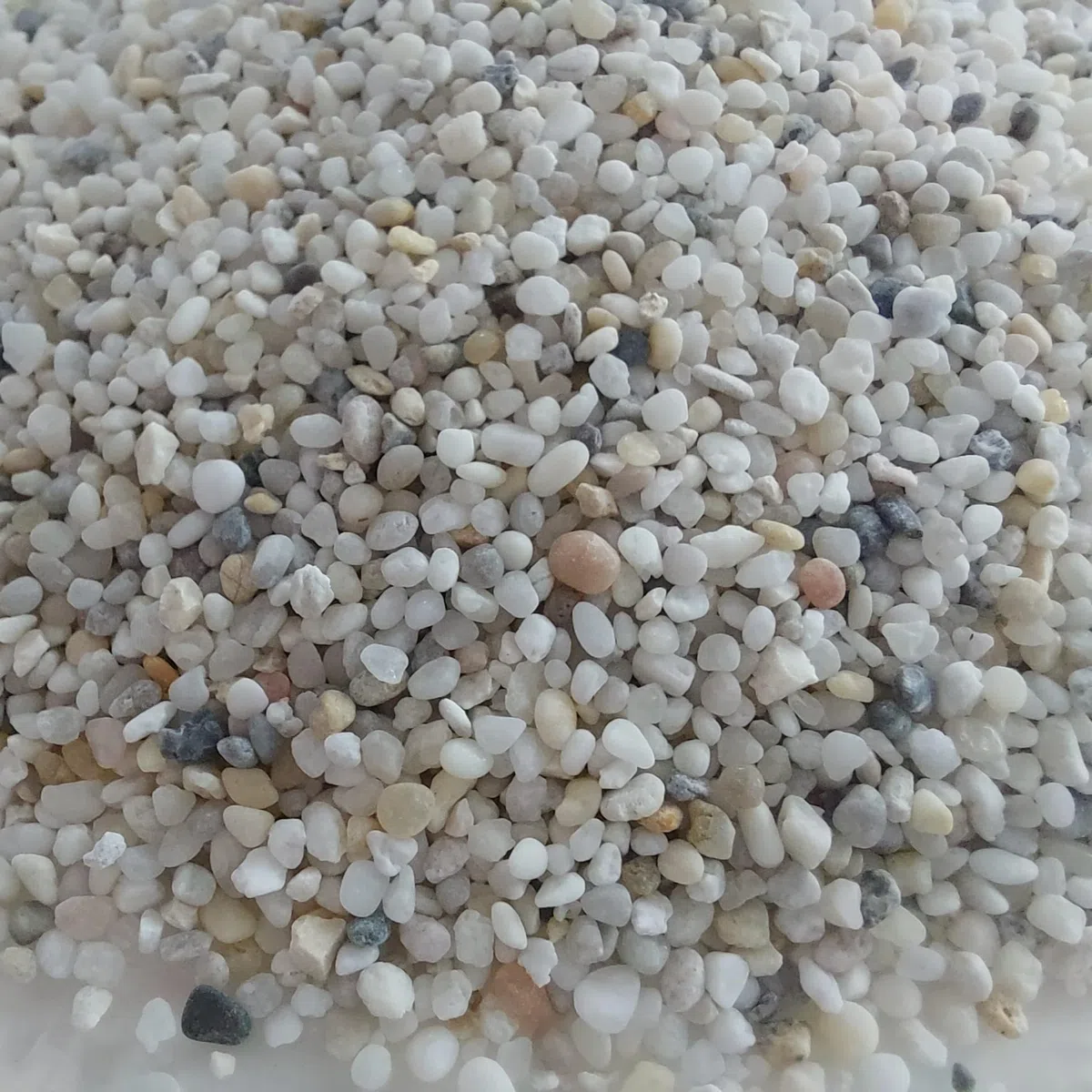 RUT Papageiensand, 25 kg Sack