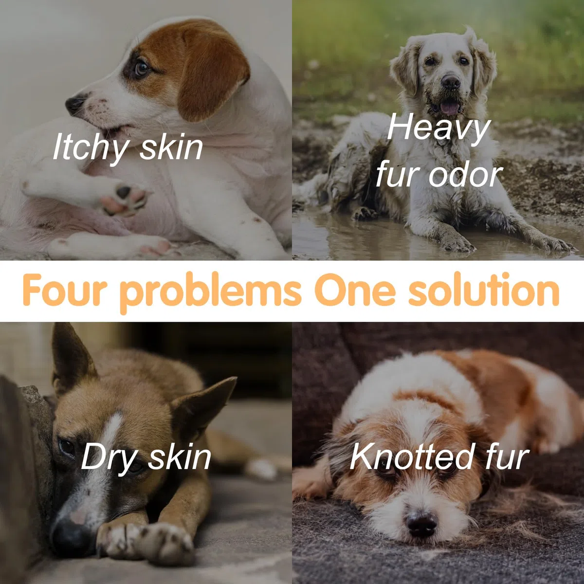 Nobleza Hundeshampoo gegen Juckreiz Milben Pilz Floh,Mit Natürlicher Extrakt,Rückfettendes Sensitive-Shampoo Katze, Anti-Bakteriell, Lindert Hautreizungen,auch für Welpen und Kätzchen (500ml)
