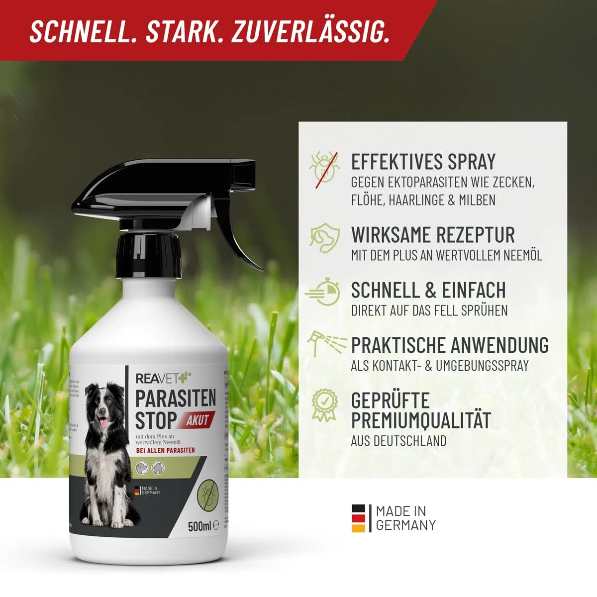 ReaVET Parasitenspray Insektenspray XL AKUT - gegen ALLE Parasiten für Hunde & Tierumgebung 500ml I Abwehr von Zecken, Flöhe, Milben I Ungeziefer-Spray, Zeckenspray, Flohspray, Milbenspray