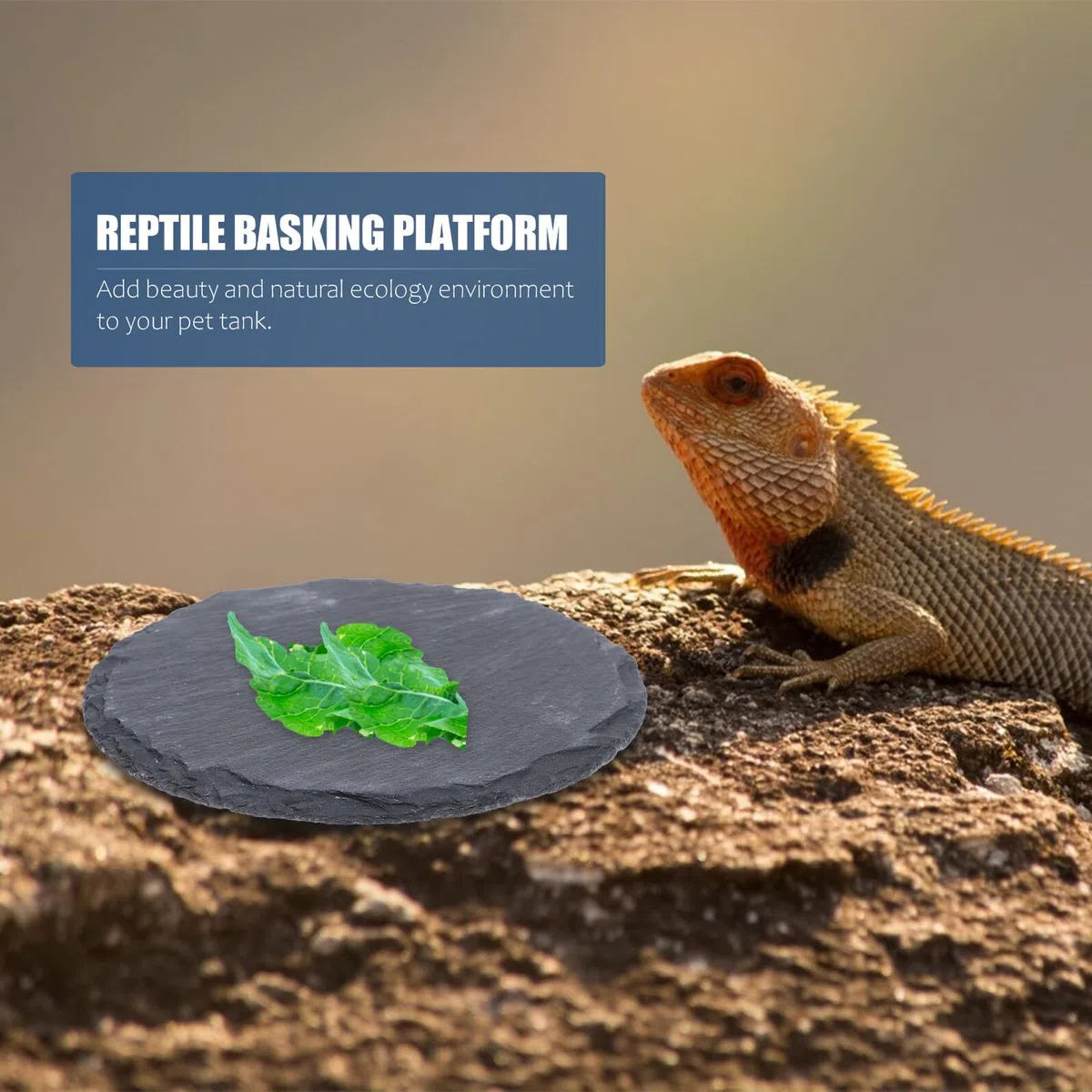 Terrarium Zubehör Schlange 2 Stück Sonnenplatz aus Stein mit Natürlicher Steinoptik als Dekorative Sonnenplattform für Kleine Reptilien und Geckos im Terrarium