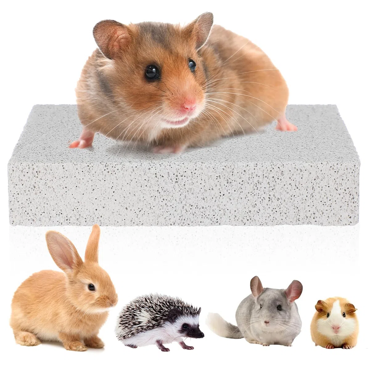 Krallenschleifpad aus Vulkangestein für Hamster und Gerbils zur Sicheren Krallenpflege und Zubehör für Kleintierkäfige mit Möbel und Fußschutz
