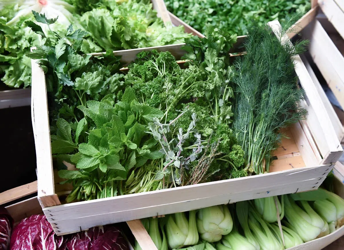 Frischekiste Gartenkräuter 1 kg