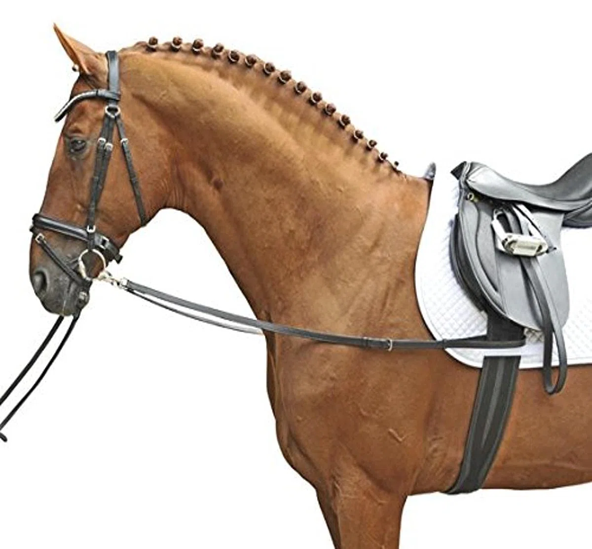 HKM 1873 Ausbinder, Hilfszügel Ausbindezügel Zügel, Rinderleder, Pony Cob Full