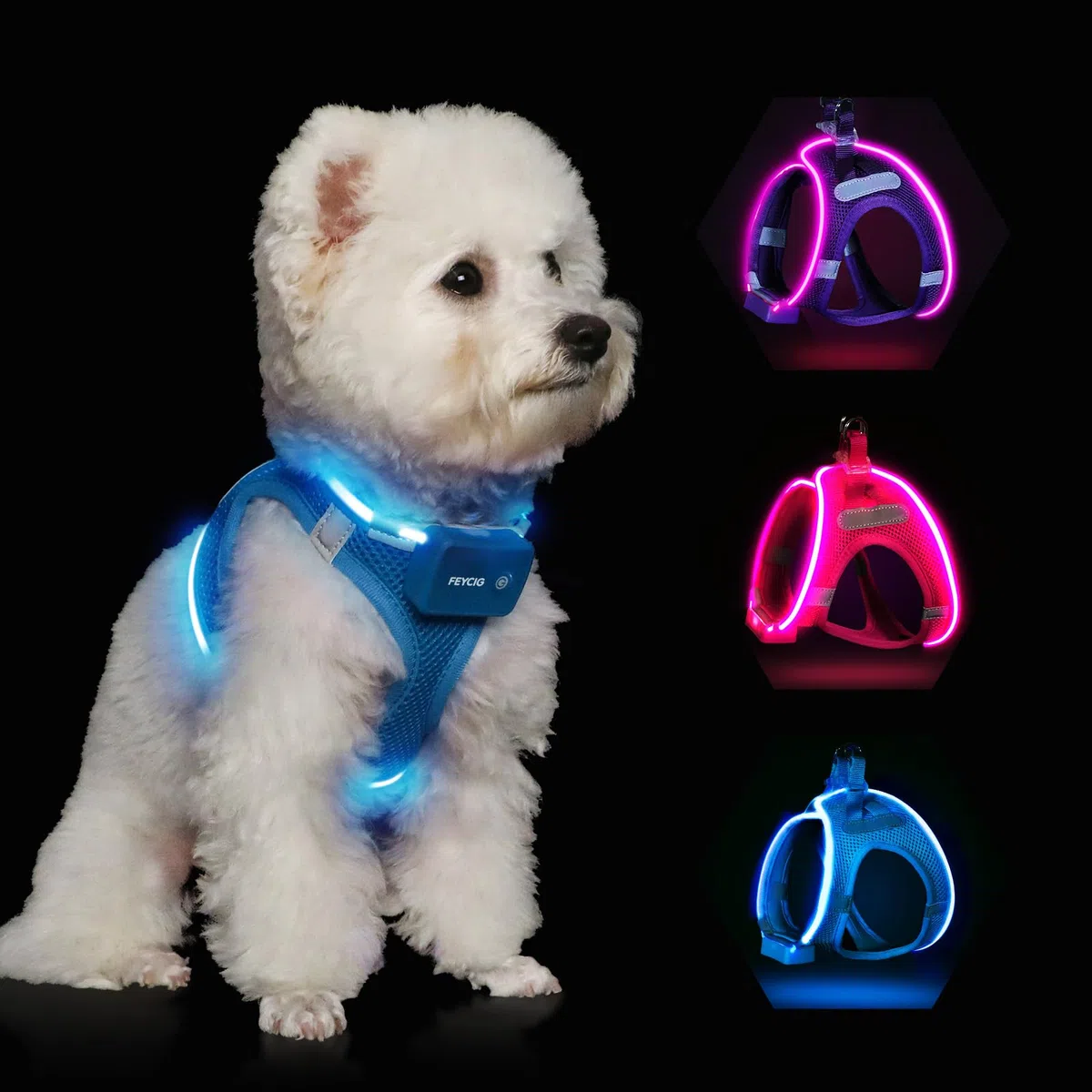 Leuchtend Hundegeschirr LED Aufladbar - Leuchtgeschirr Leuchtendes & Reflektierendes für Welpe Klein Mittlere Hund, Brustgeschirr Hundegeschirr, Atmungsaktiv Leucht Geschirr (Blau, Small)