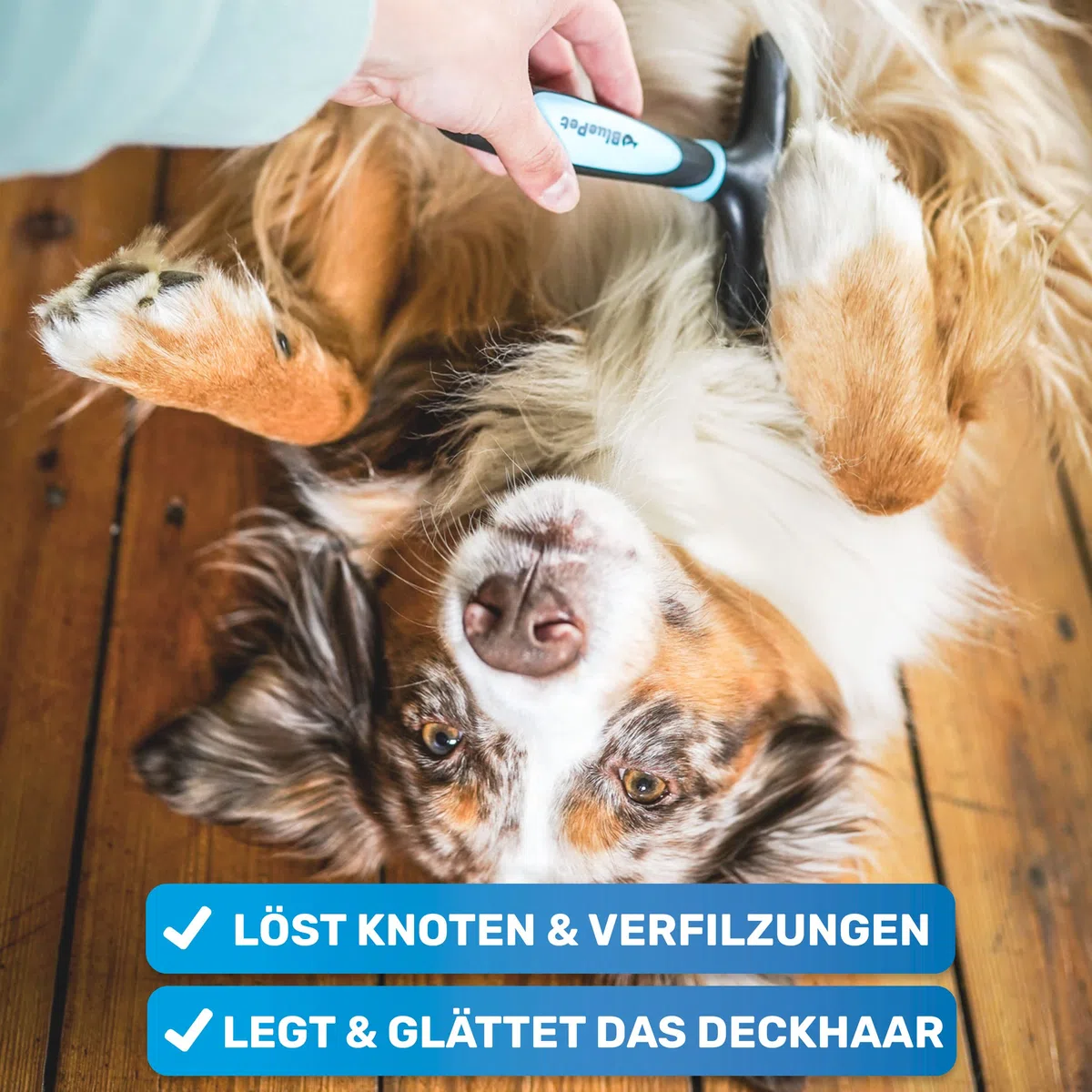 BluePet Fellentwirrer Entfilzer für Langhaar Hunde & Katzen I Hochwertiger Hundestriegel mit zwei Reihen Pins I Löst Knoten, Verfilzungen & Unterwolle I Unterwollrechen Glättet & Entwirrt langes Fell