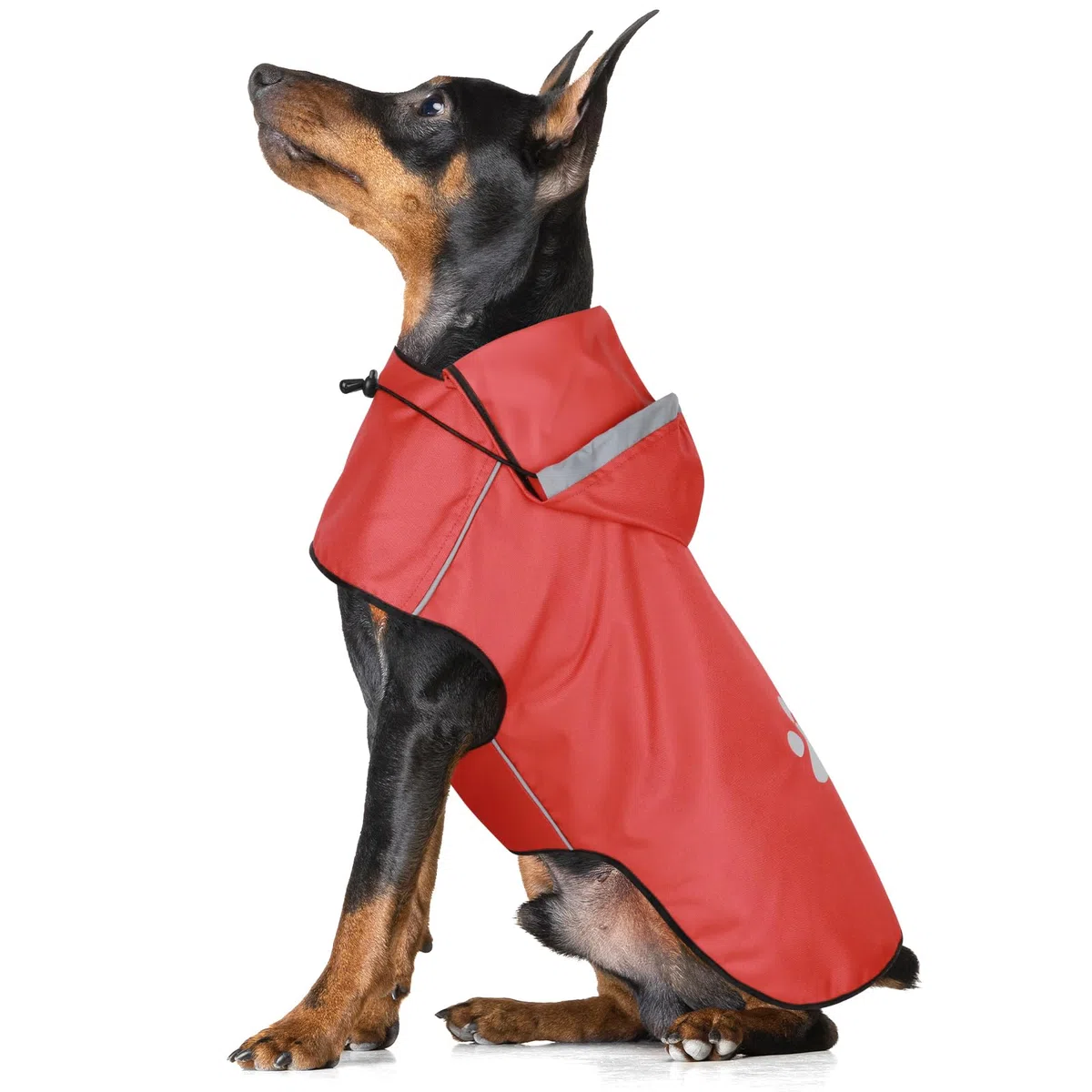 Hunde Regenmantel Kleine Hunde, Verstellbarer Regenjacke mit Klettverschluss - Ultraleicht & Wasserdicht Hunderegenmantel mit Reflektierenden Kapuze für Spaziergänge (S | Rot)