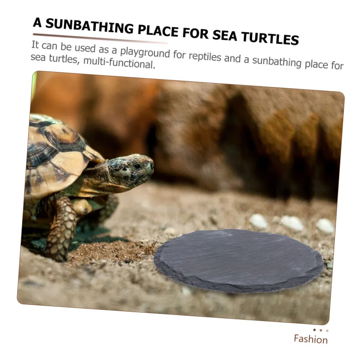 VANZACK 2 Stück Schildkrötenplattform Aus Stein Dekorative Sonnenplattform Für Schildkrötenbecken Langlebige Kletter Und Ruheplattform Für Reptilien Im Haushalt