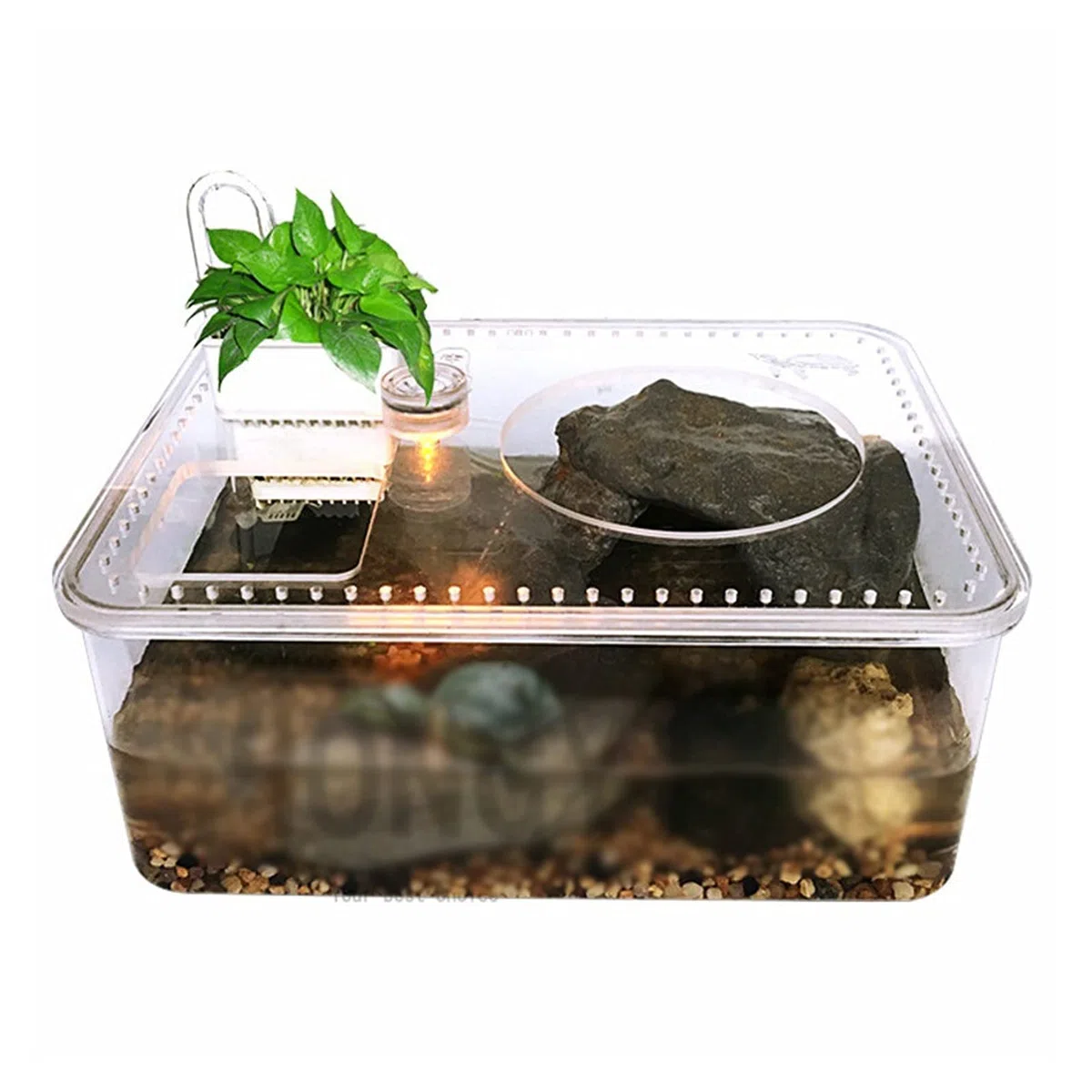 Schildkrötenpanzer 1 Stück Kunststoff Transparente Reptilzucht Fütterungsbox Große Kapazität Aquarium Habitat Turn Turtle Panzerplattform für drinnen und draußen
