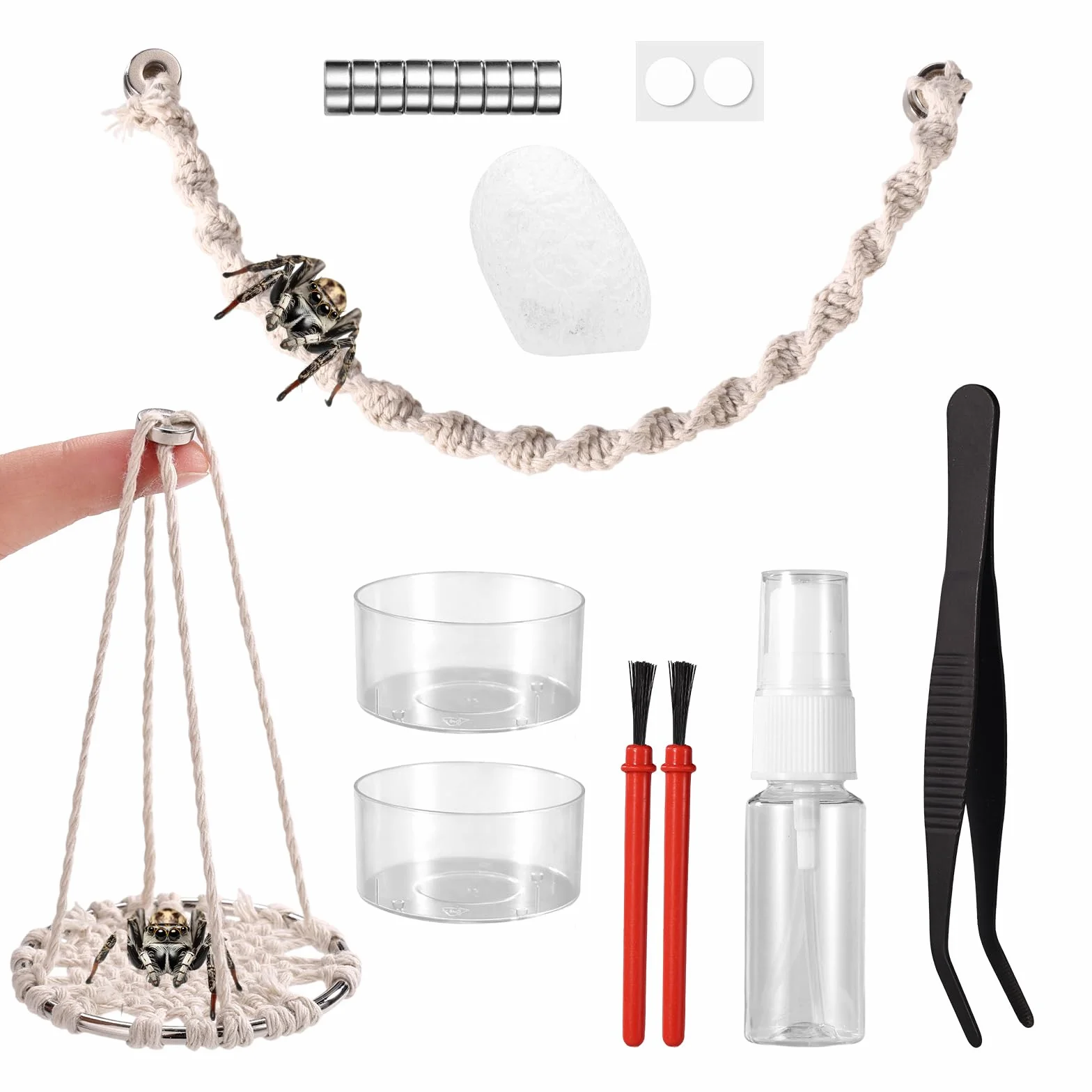 18stk Springspinne Zubehör für Terrarium Set, Bestehend aus Baumwollseilschaukel Plattformschaukel mit Nest Wasserschale Pinzette Sprühflasche Bürste und Magneten für Springspinnen Terrarium