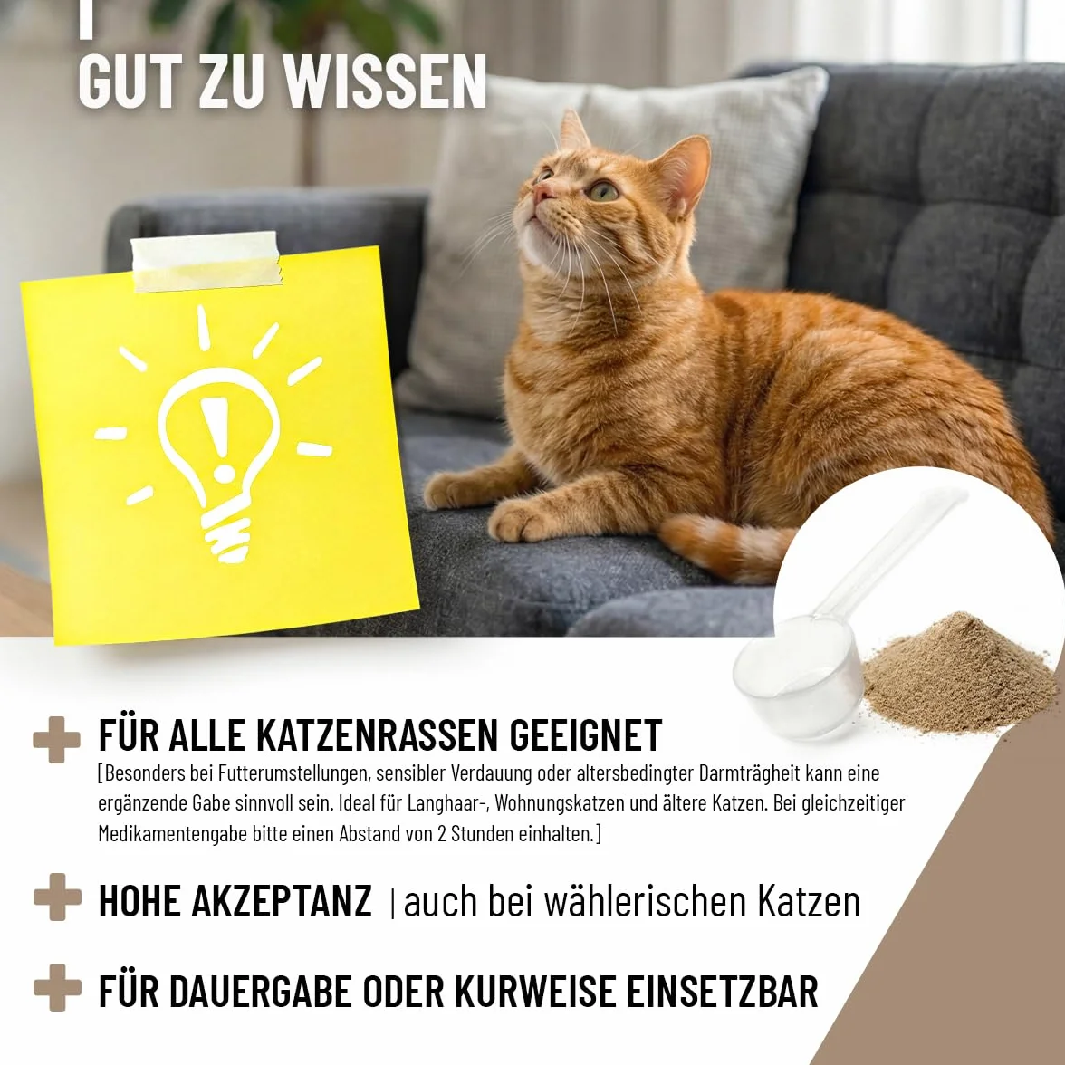 ReaVET BallastoVET für Katzen – Natürliche Ballaststoffe zur Unterstützung bei Verstopfungsneigung & Haarballen I Fördert Normale Kotkonsistenz & Darmfunktion I Sehr ergiebig I 50 g