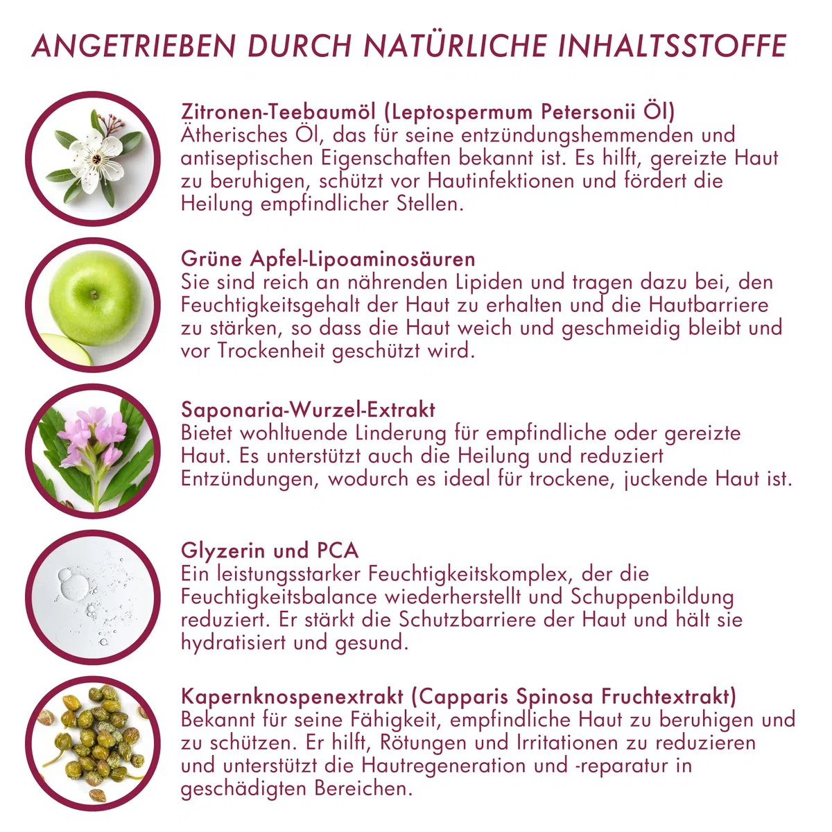 Trockenshampoo für Hunde und Katzen | Beruhigender Reinigungsschaum bei Juckreiz und Hautirritationen | Feuchtigkeitsspendende Pflege mit Omega 3 & 6 | ATOP 7 Mousse von Dermoscent