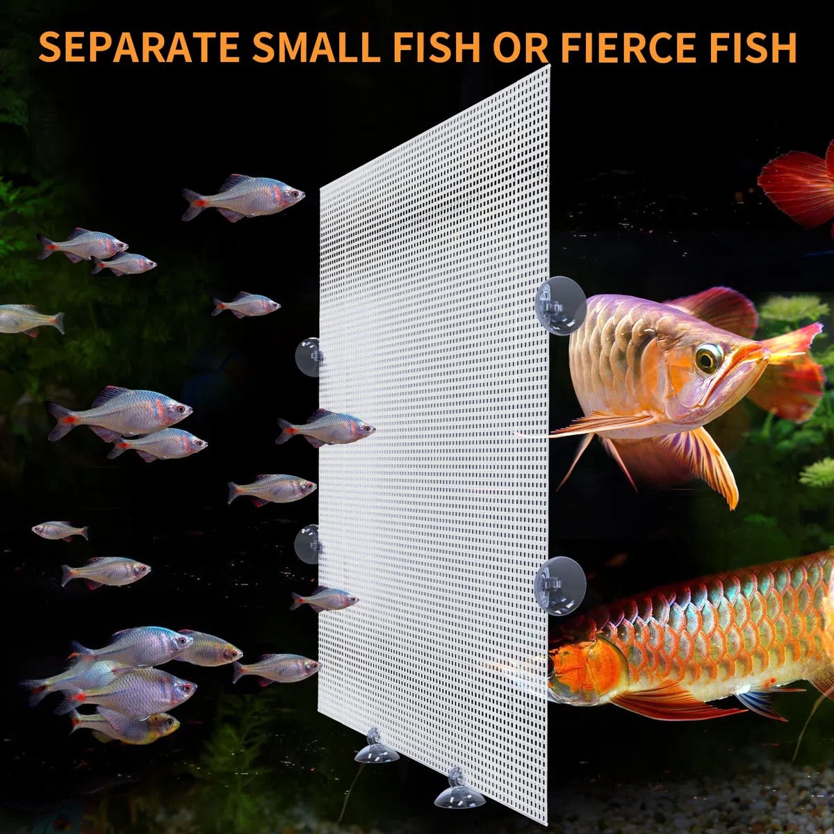2 Stück Aquarium Trennwand,Aquarium Teiler Aquarium Kunststoffgitter Platte Aquarium Tank Grid Trennung Kann Geschnitten,Mit 12 Stück Saugnapf, 33 * 44cm