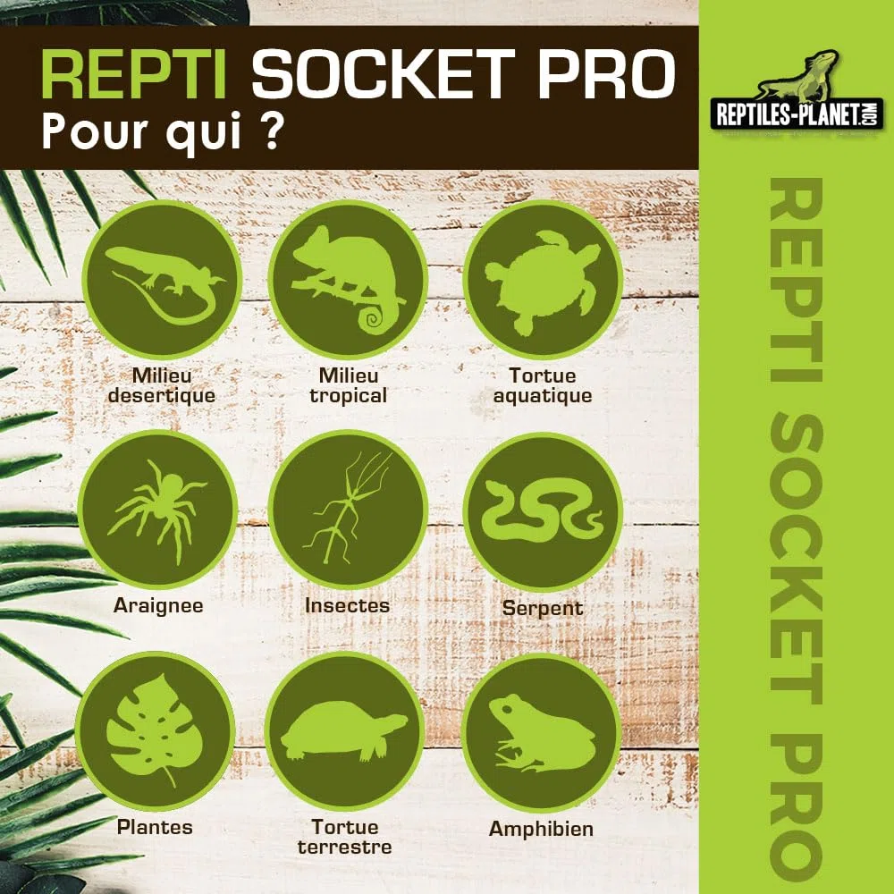 Reptiles Planet Repti Socket Pro Lampe