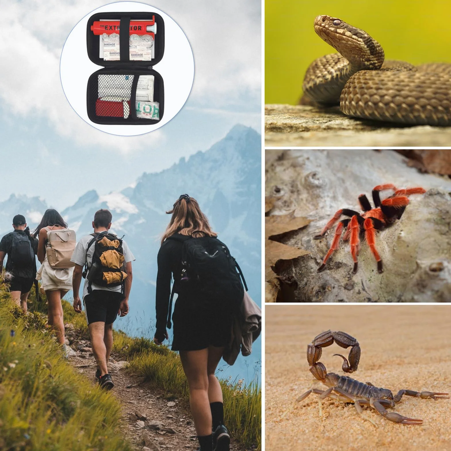 Schlangenbiss-Set für Menschen, Klapperschlangen-Biss-Set, Bienenstich-Set, Venom Snake Bite Kit für Hunde, Venom Extractor Kit, Venom Extractor Saugpumpe, Biss und Stich Erste Hilfe für Wandern,
