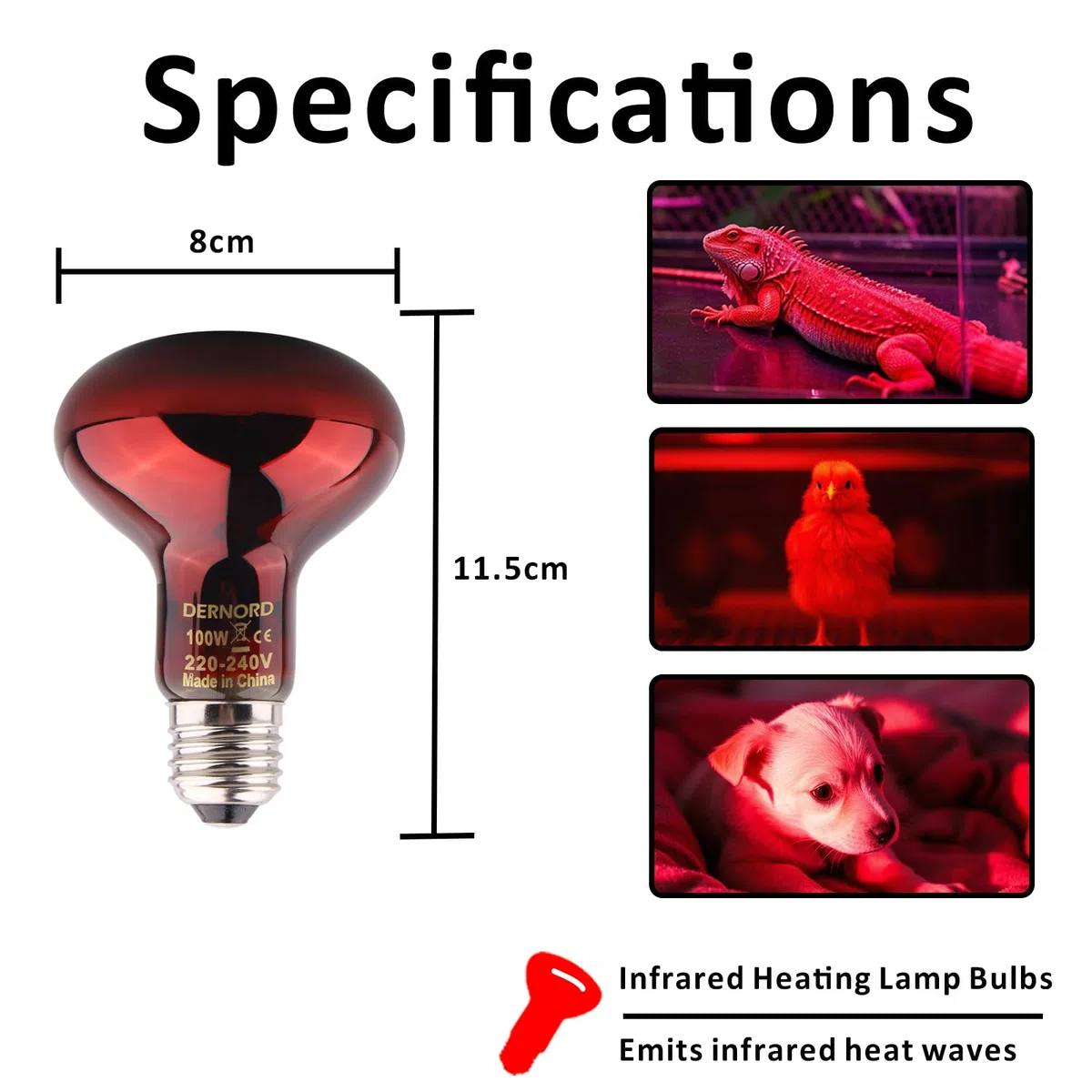 DERNORD Reptilien Rotlichtlampe Birne - 100 Watt R80 Infrarotlampe Rotlichtlampe Wärmelampe Tiere für Urzeitkrebse Schildkröten Vogelspinne Vivarium 2 Pack