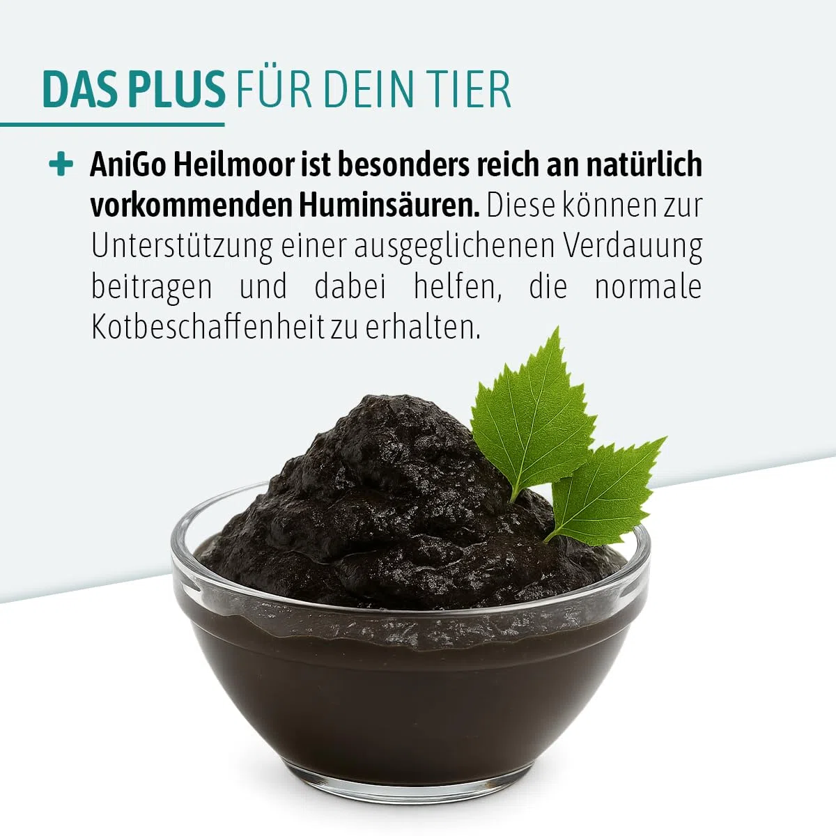 AniGo Heilmoor für Hunde 1,3kg – Verbessert die Kotbeschaffenheit, Optimale Verdauung, Immunsystem, Magen-Darm-Aktivität, Appetit Anregung I Natürliche Heilerde Moor für Hund