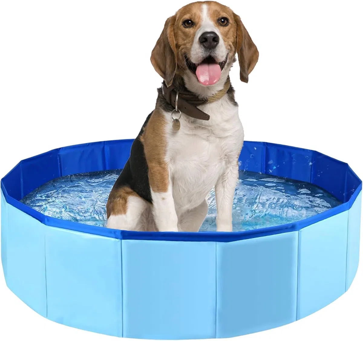 Hundepool,Katzenpool,Hundeplanschbecken,Faltbar Hundepool,30x10 cm Hundepools für Kleine,Hunde Schwimmbecken,PVC,Schwimmbad Für Hund,Pool für Hunde (Blau)