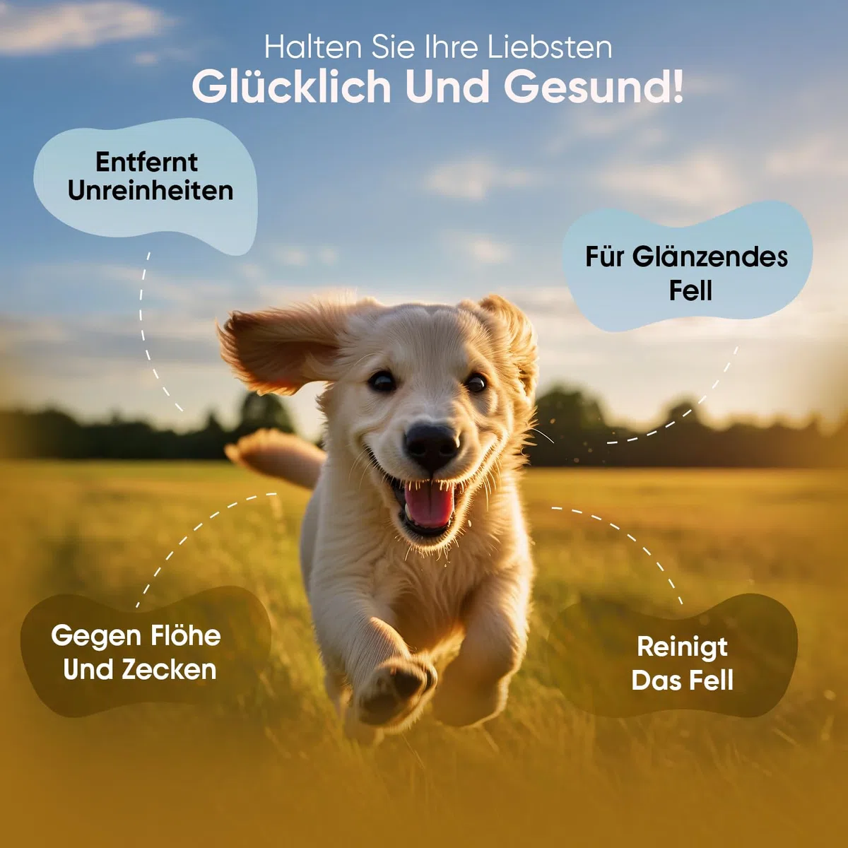 animigo Flohshampoo Hund & Katzen 500ml - Flohmittel mit Teebaumöl - Gegen Zecken, Flöhe & Juckreiz - Alternative zu Flohspray, Zeckenhalsband, Flohkamm - Mit Kokosöl, Mandelöl - Natürliche Zutaten