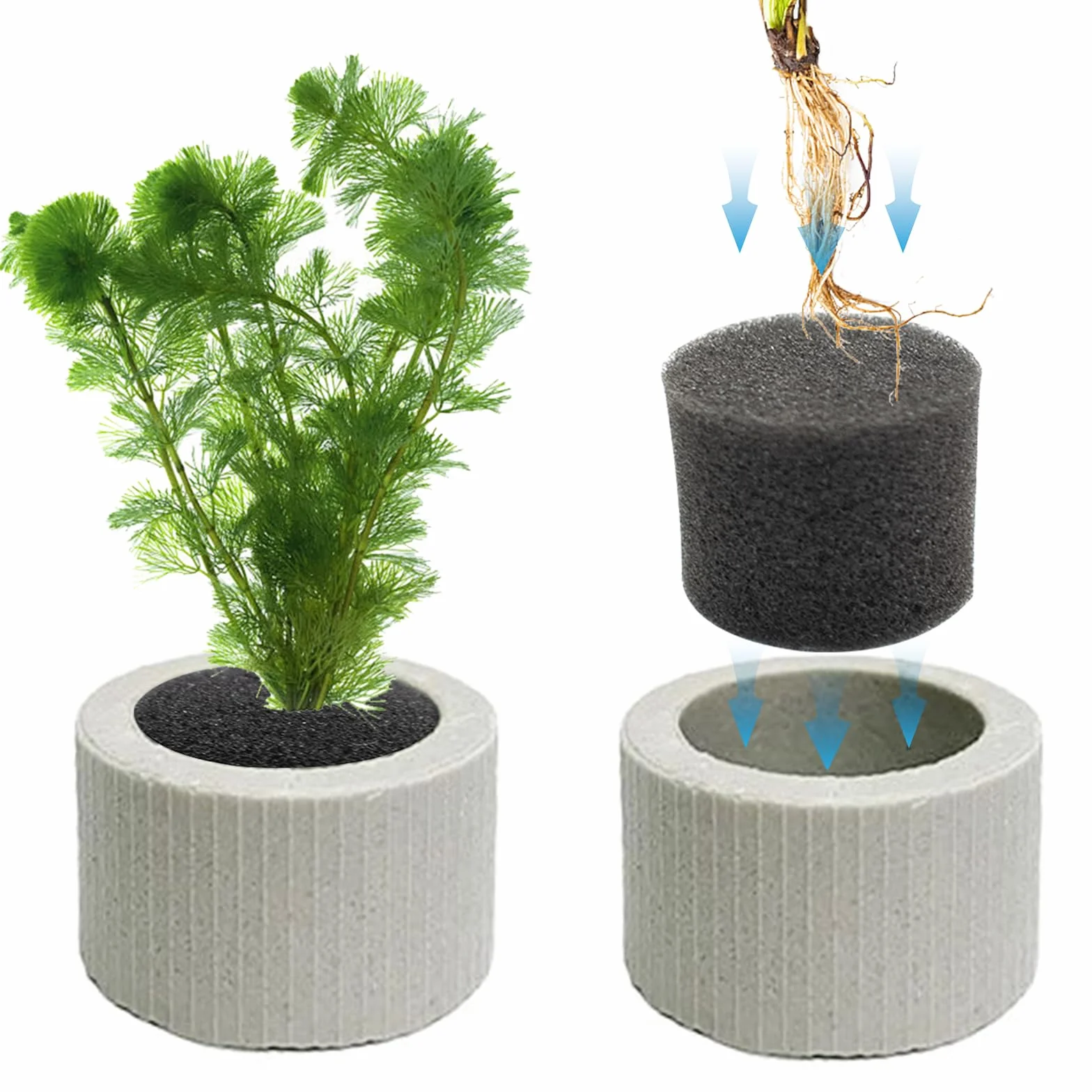 12 Stück Pflanzengewichte Aquarium Ring Wasserpflanzen Pflanzenanker Gewichte Fixierer Keramikringe mit Pflanzbaumwolle Pflanzen Schwerkraft Ring