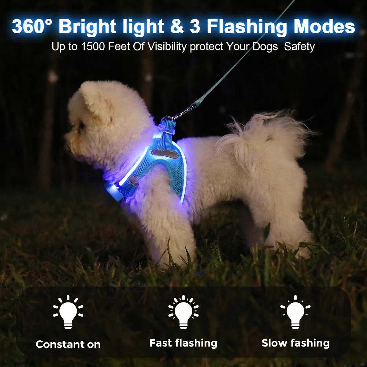 Leuchtend Hundegeschirr LED Aufladbar - Leuchtgeschirr Leuchtendes & Reflektierendes für Welpe Klein Mittlere Hund, Brustgeschirr Hundegeschirr, Atmungsaktiv Leucht Geschirr (Blau, Small)