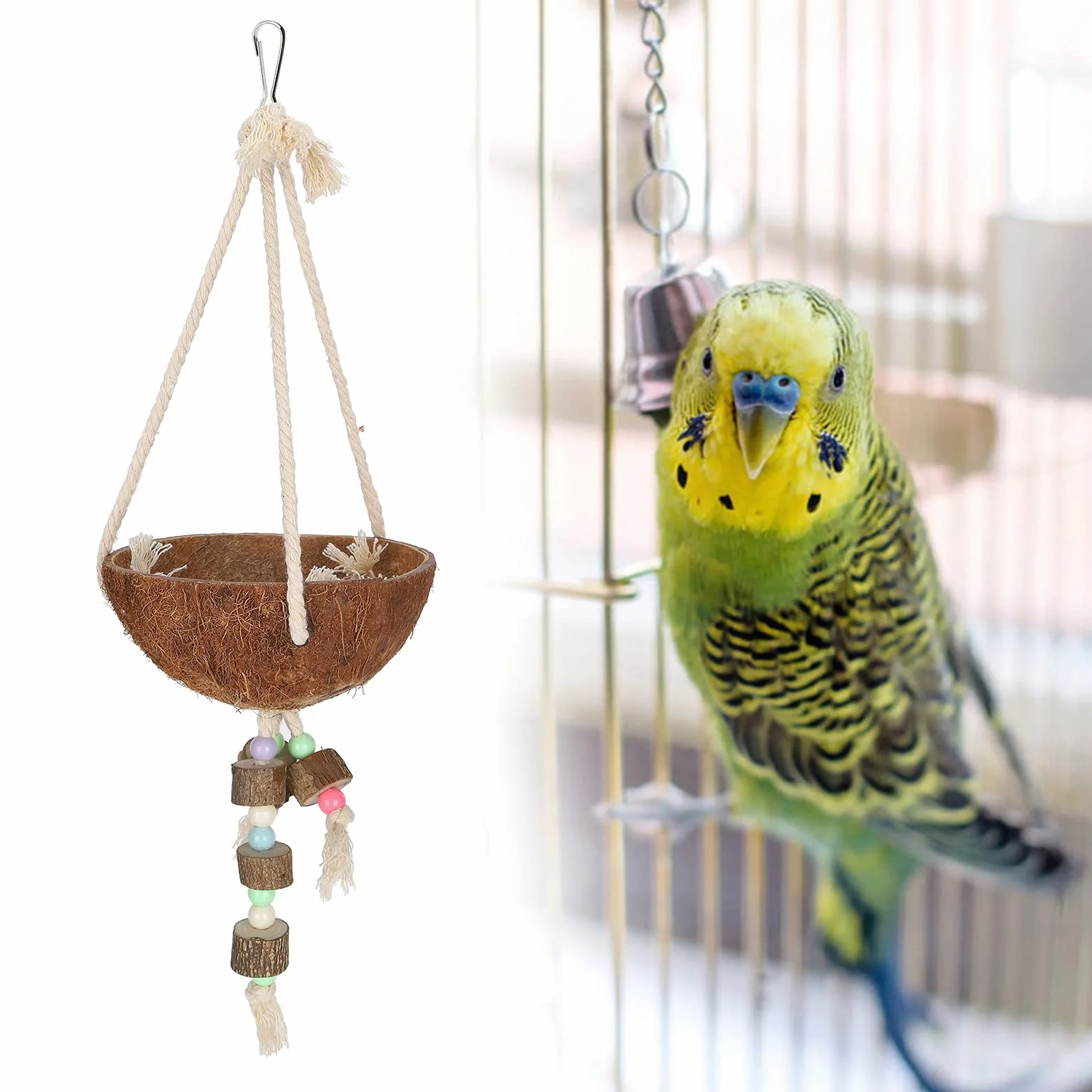 Kokosnuss Vogelnestkäfig, Papageienbeißspielzeug Innovativer Papagei Kokosnuss Muschel Schaukel Vogel Hängekäfig mit Farbperle für Sittich für Papagei für Kanarienvogel