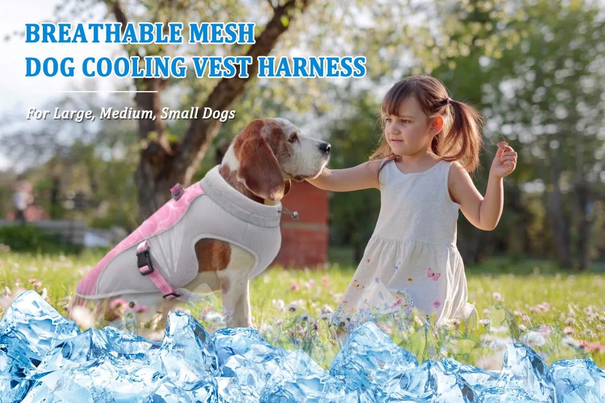 Kleiner Hund Kühlweste Geschirr Reflektierende Hunde Cooler Jacke Mit D-Ring Und Verstellbaren Trägern, Kühl Und Bequem Hundemantel, Sicherheit Sonnengeschützt Und Verdunstungs-Sumpf-Technologie, S