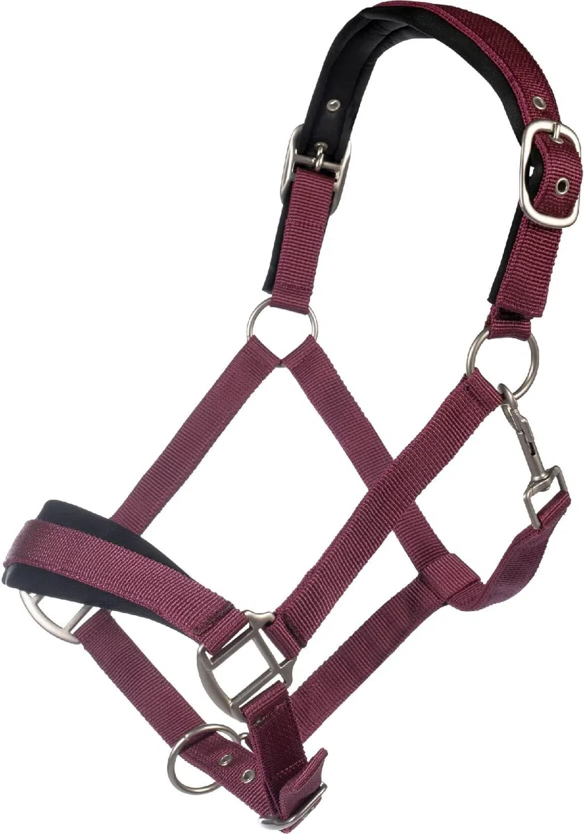 HKM Samantha Halfter, Bordeaux, Warmblut