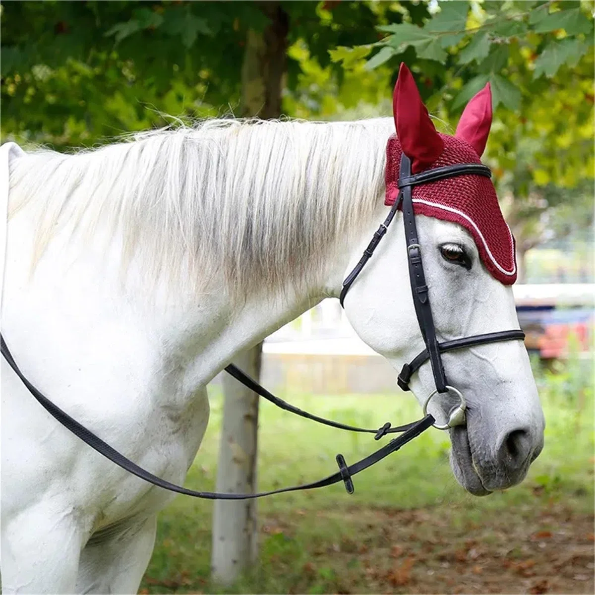 Reitausrüstung Reitpferd Zaumzeug Pferdehalfter Pferdekopf Halsband und Zügel Schwarz Braunes Zaumzeug für Pferde(Brown-L)