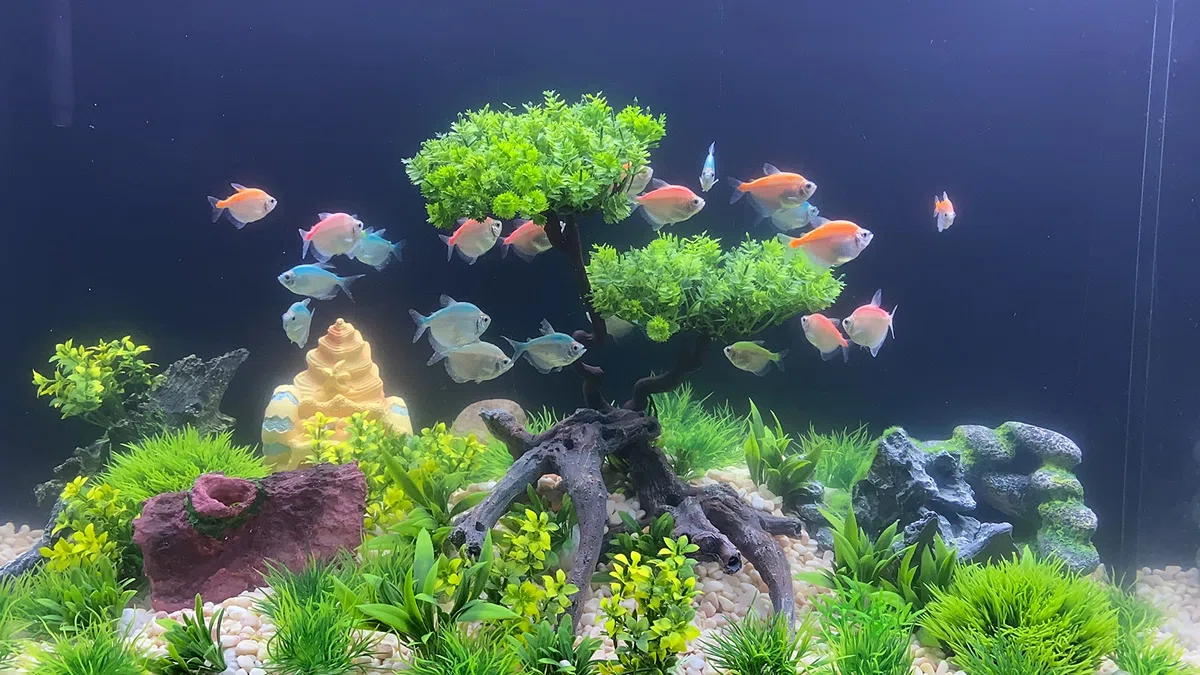 25 Stück Kunststoff Aquarium Pflanzen Baum Set, Kunststoffblumen Künstliche Aquatische Pflanzen Künstliche Fisch Tank Pflanzen für Aquarium Dekorationen