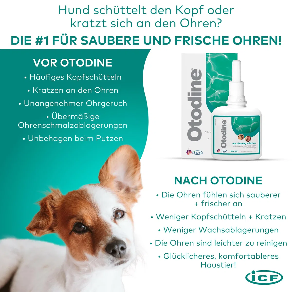 Otodine Ohrenreiniger Hund, Hund Ohrentropfen stoppen Ohren Entzündungen und Juckreiz, Haustier Ohrreiniger für Hunde und Katzen, Hundeohrreinigungslösung, Hundeohrschmalz, Schmutz, Geruchsentferner
