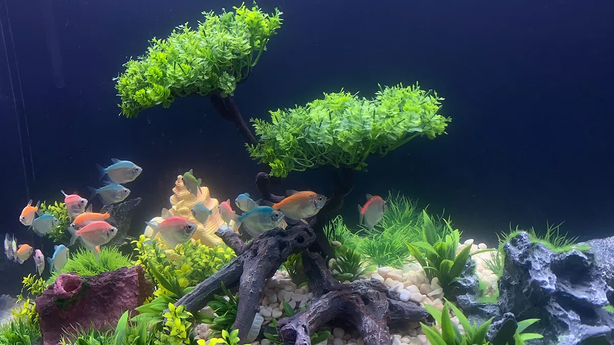 25 Stück Kunststoff Aquarium Pflanzen Baum Set, Kunststoffblumen Künstliche Aquatische Pflanzen Künstliche Fisch Tank Pflanzen für Aquarium Dekorationen