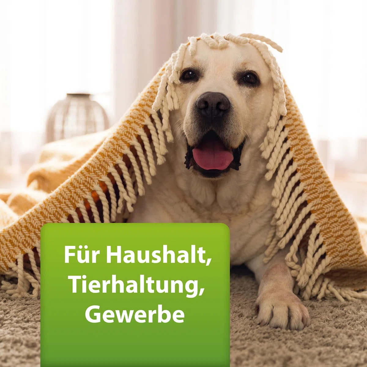 ARDAP Repell Flohspray für Wohnung und Möbel 750ml - Alternative zum ARDAP Fogger gegen Flöhe / Floh Fogger - Flohmittel für Wohnung - Umgebungsspray Flöhe - Wirkt schnell & effektiv (PT19)