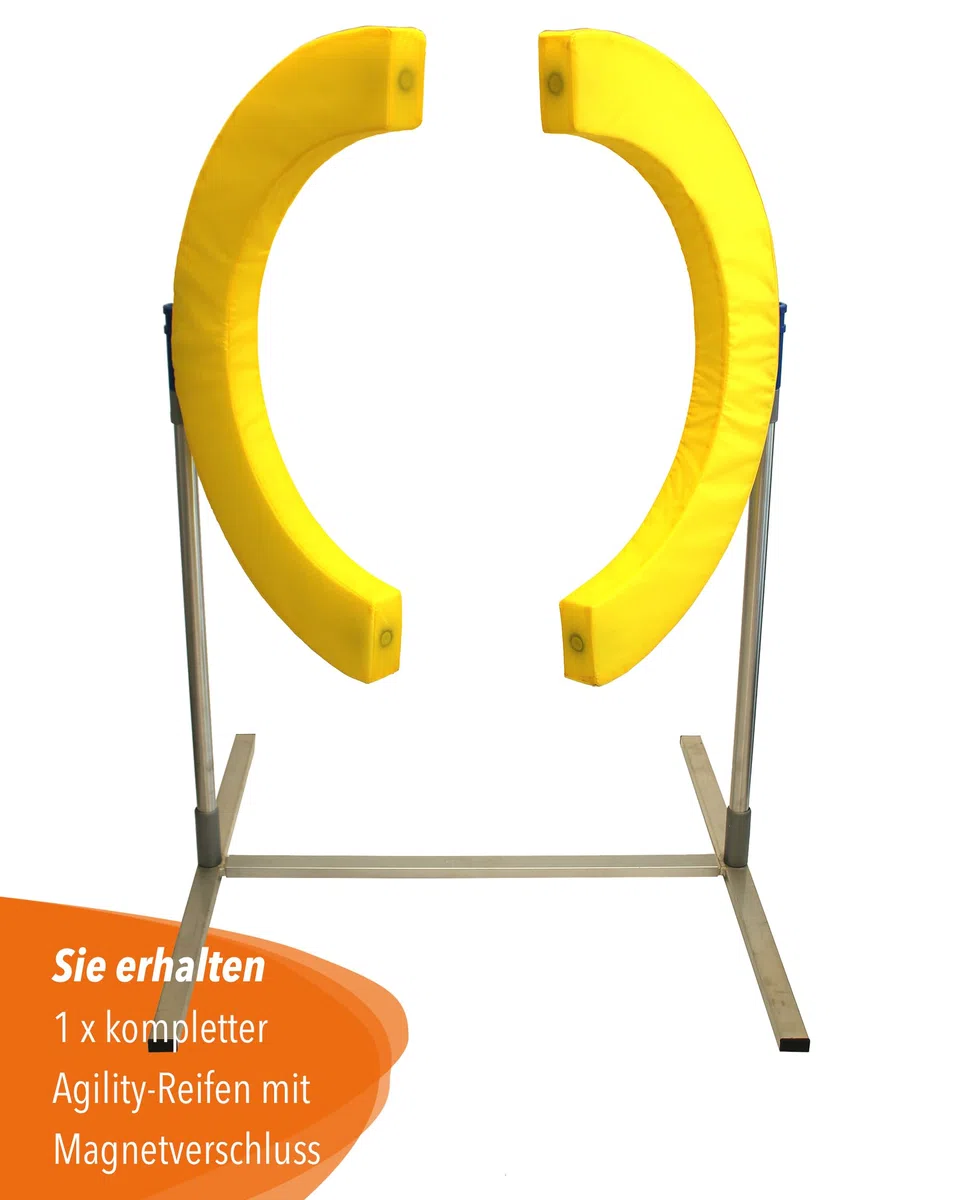 Safety Agility-Reifen – FCI-konform – mit Magnetverschluss & Schaumstofffüllung – höhenverstellbar & sicher – Agility-Training für Hunde