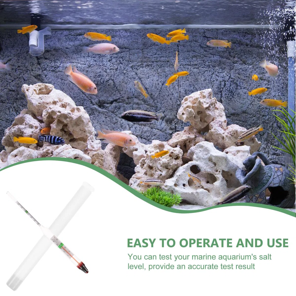 Healifty Meerwasser Salinitätsmesser Hydrometer aus Kunststoff und Glas Kompaktes Aquarium Hydrometer mit Präziser Sonde zur Genauen Dichtemessung für Fischbecken und Aquarien