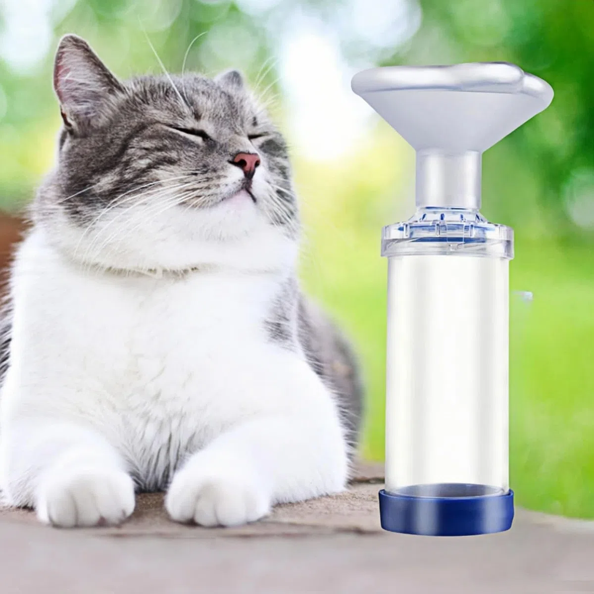Aerosolkammer,Inhalator Spacer für Katzen oder Hundefür Haustiere, mit Maske, hilft Haustieren beim Atmen und bei der Abgabe von Medikamenten