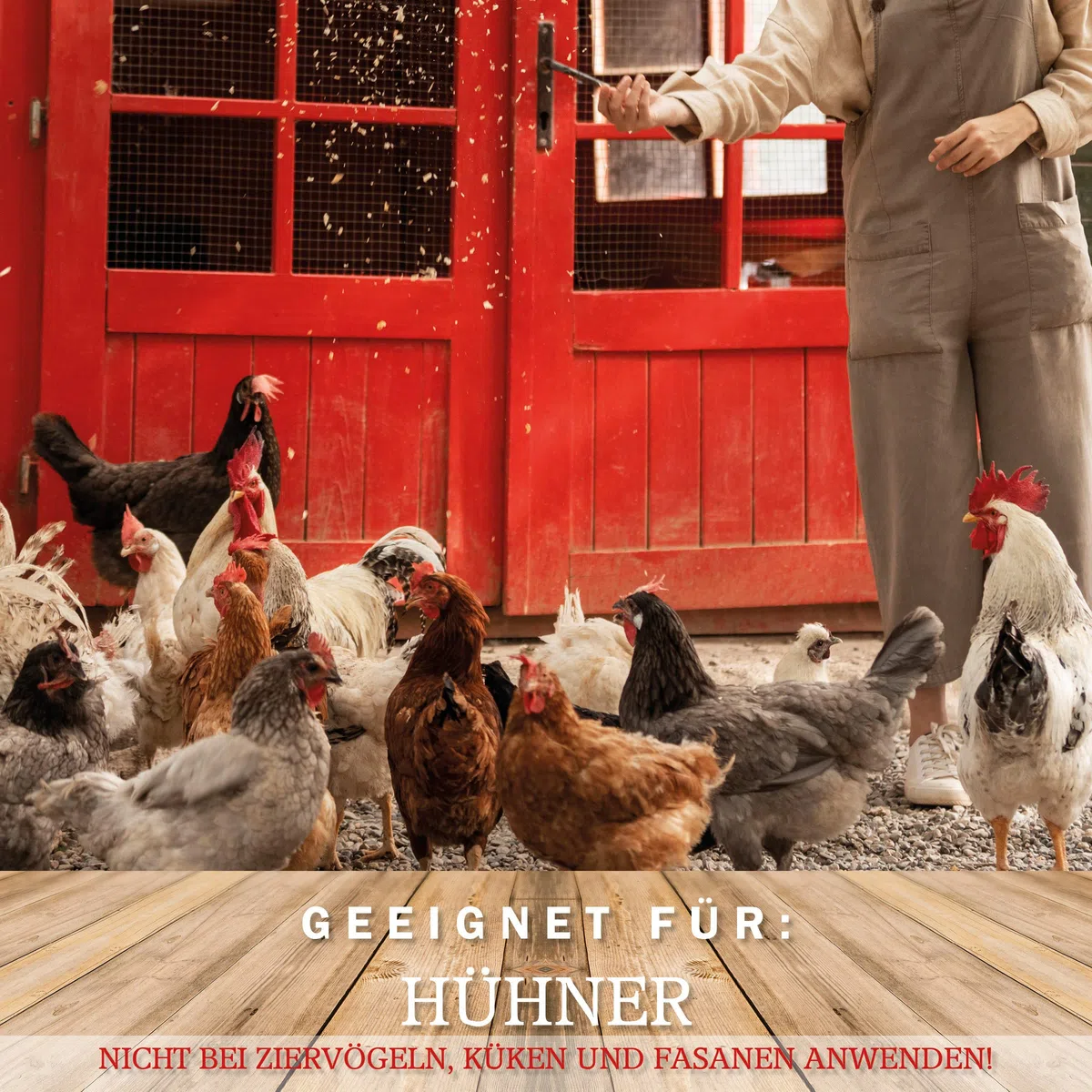 MeineHennen Anti Pick 2.0 500ML Sprühflasche, ein Mittel gegen Federpicken/Federfressen für Hühner und Wachtel im Hühnerstall. Kannibalismus, zur Harmonisierung deines Geflügels.