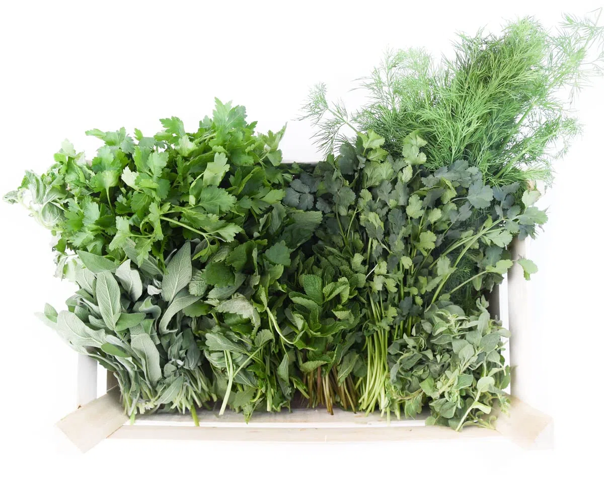 Frischekiste Gartenkräuter 1 kg