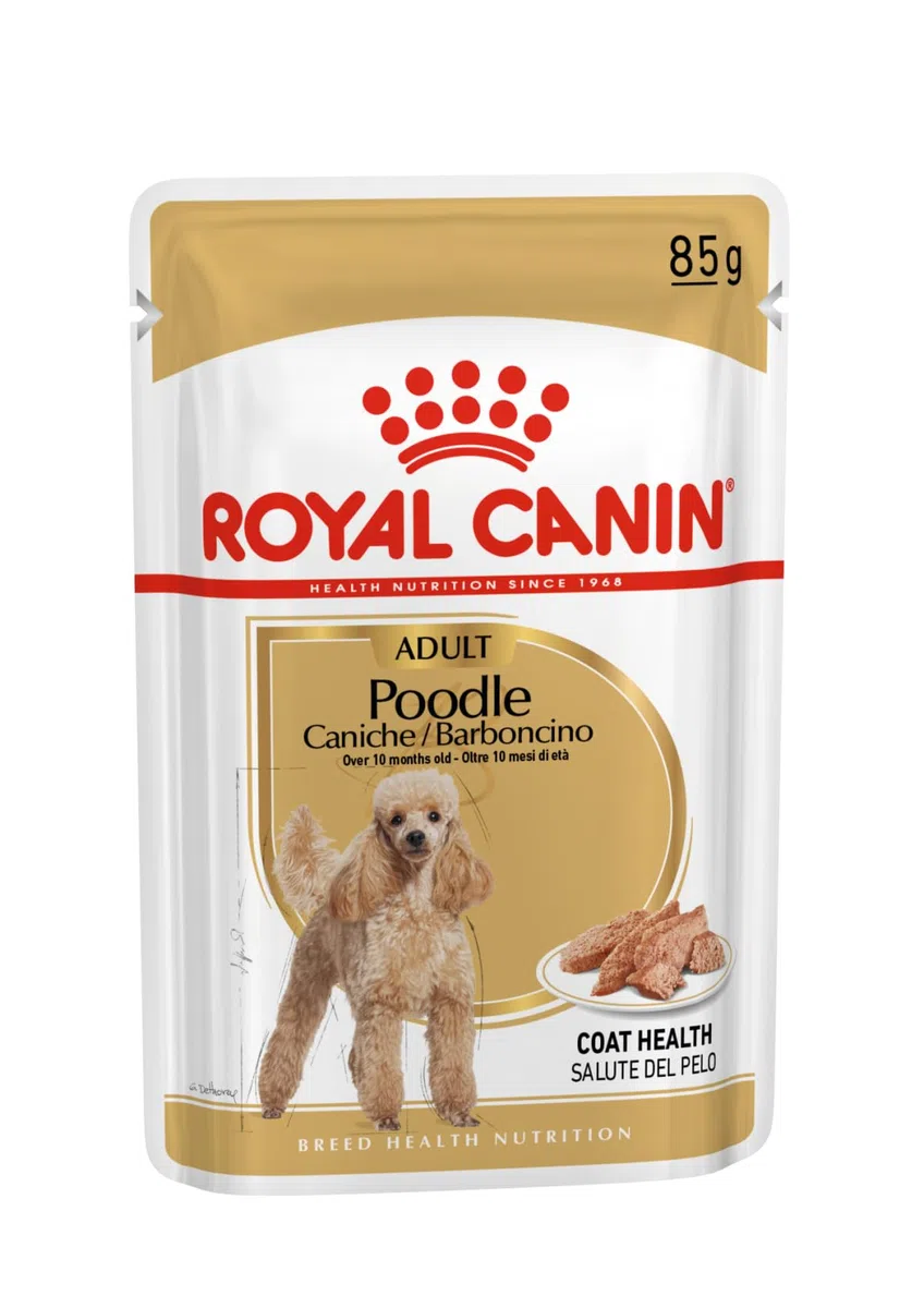 Royal Canin Poodle Adult | 12 x 85g | Nassfutter für Pudel Erwachsene & Senioren | ab 10 Monaten | Fellpflege | mit schmackhafter Konsistenz