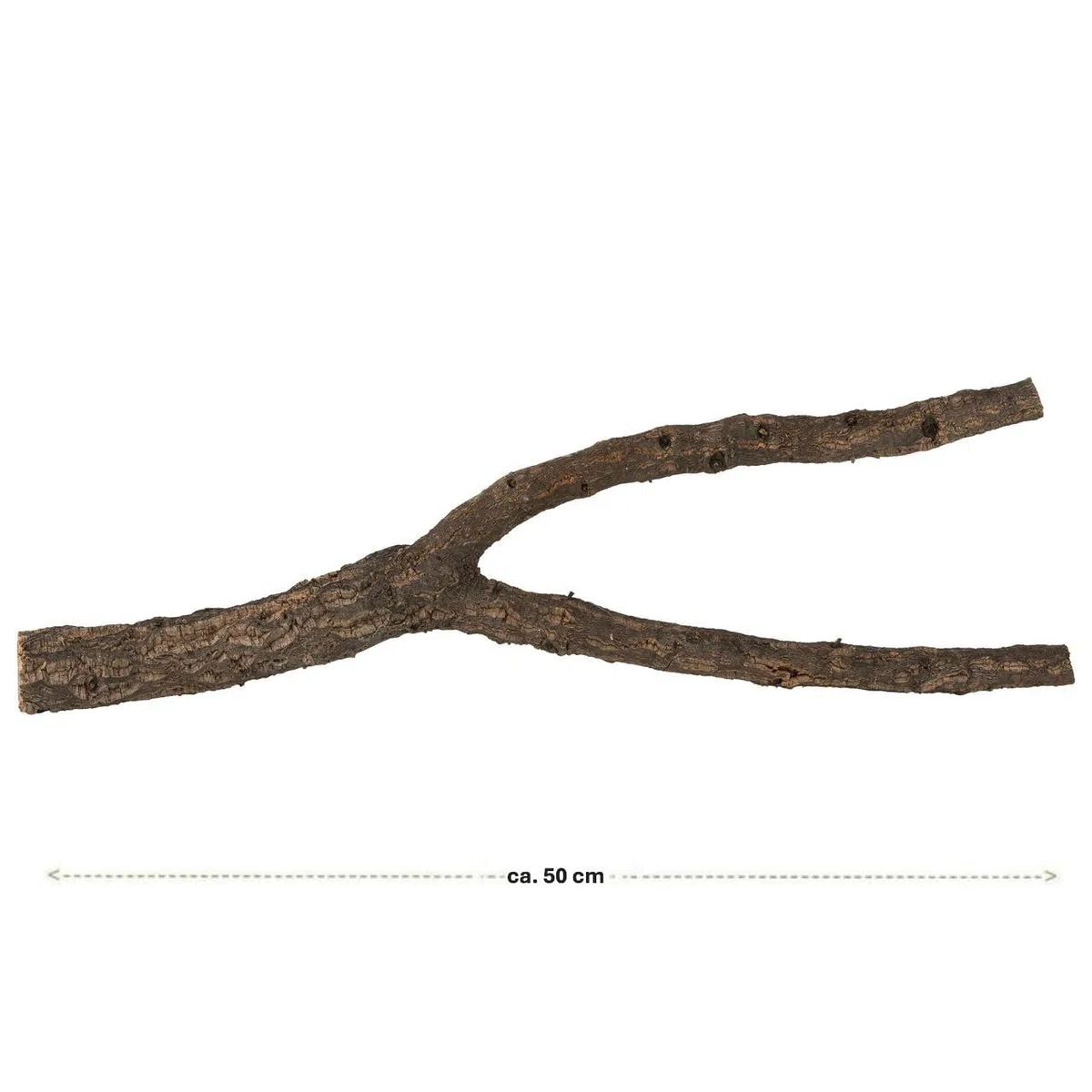 Korkast (50cm Länge) mit Gabelung von der Korkeiche | Naturkork-Rinde als Terrariumausstattung | aus nachhaltiger Ernte bei der Baumpflege | wärmdesinfiziert | Made in Portugal