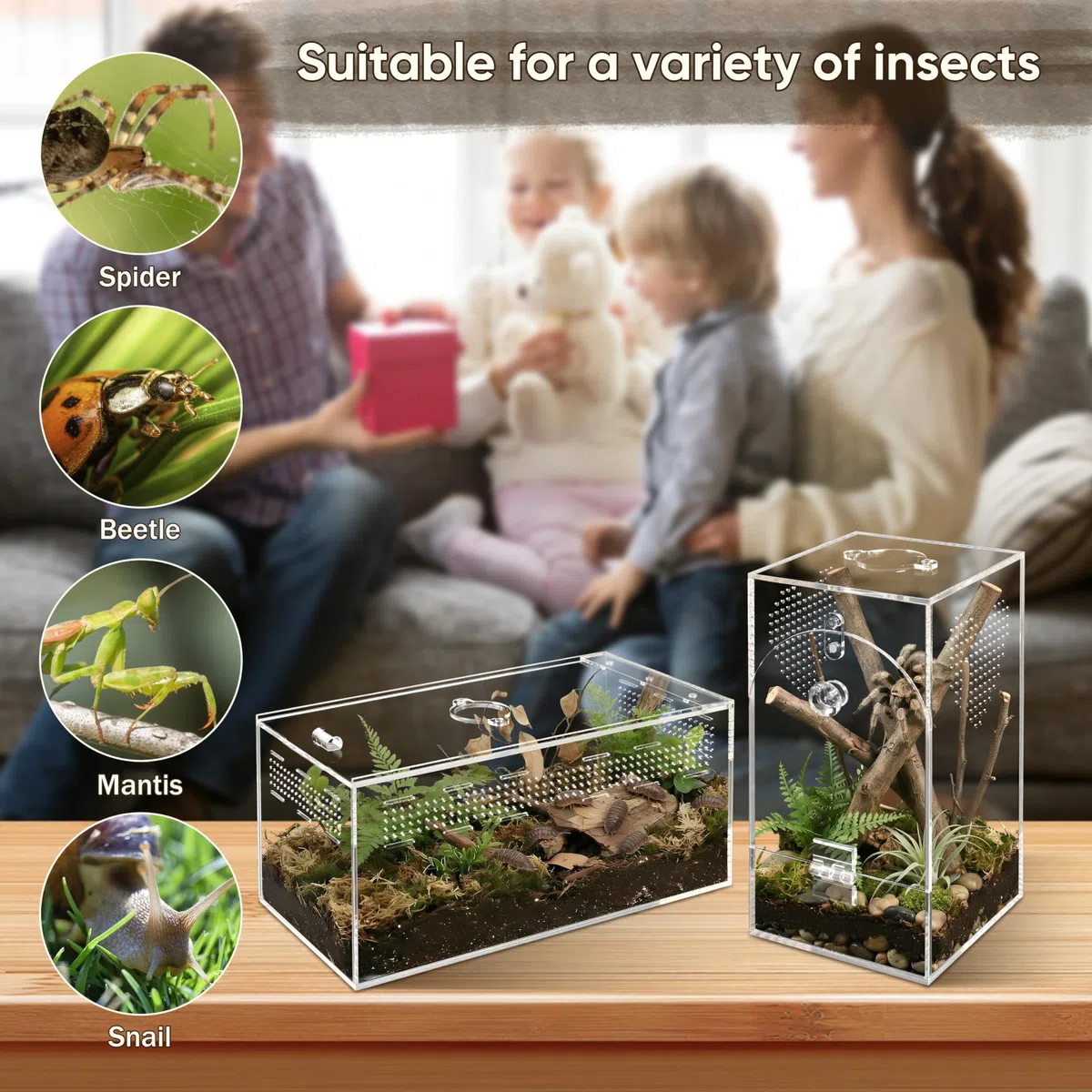 Springspinnen-Acryl-Terrarium, 360° Transparente Futterkasse, Allzweckbehälter für Sprungspinnen, Vogelspinnen, Schnecken und Insekten, ohne Montage, Set 2, L (25.4x12.7x12.7cm)