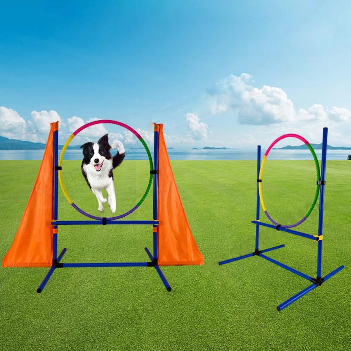 Agility-Trainingsgeräte-Set für Hunde, komplettes Übungsset mit Sprung, Hürde, Tunnel, Webstangen und Tragetasche für Outdoor-Spielen