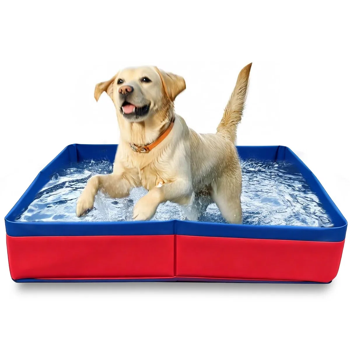 Hundepool Faltbar aus Kratzfestem,50x50x10cm Hundeplanschbecken,Schwimmbecken Für Hunde,Hundepool Schwimmbad,Faltbarer Pool Schwimmbecken für Welpe,Katze,Kleine Tiere