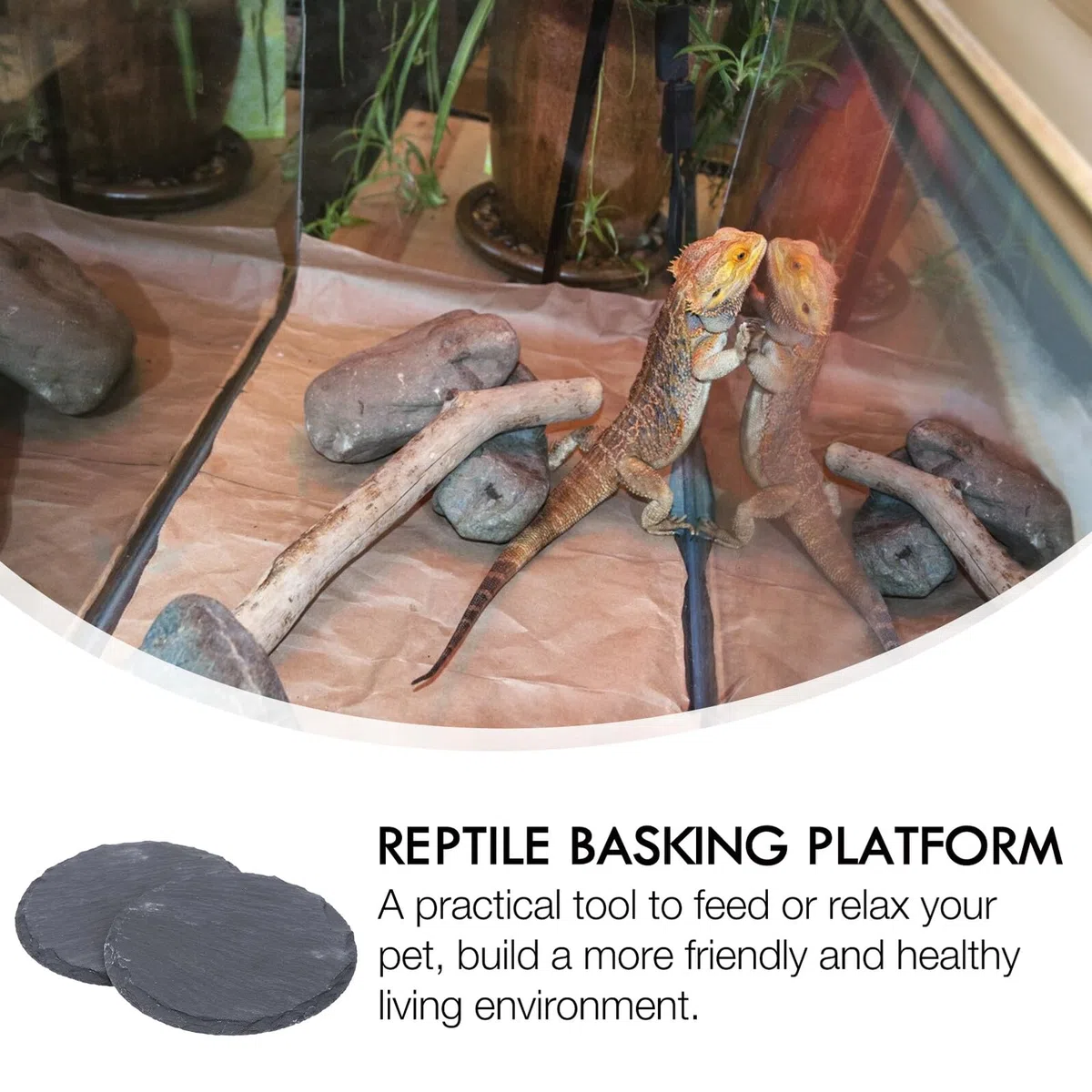Terrarium Zubehör Schlange 2 Stück Sonnenplatz aus Stein mit Natürlicher Steinoptik als Dekorative Sonnenplattform für Kleine Reptilien und Geckos im Terrarium