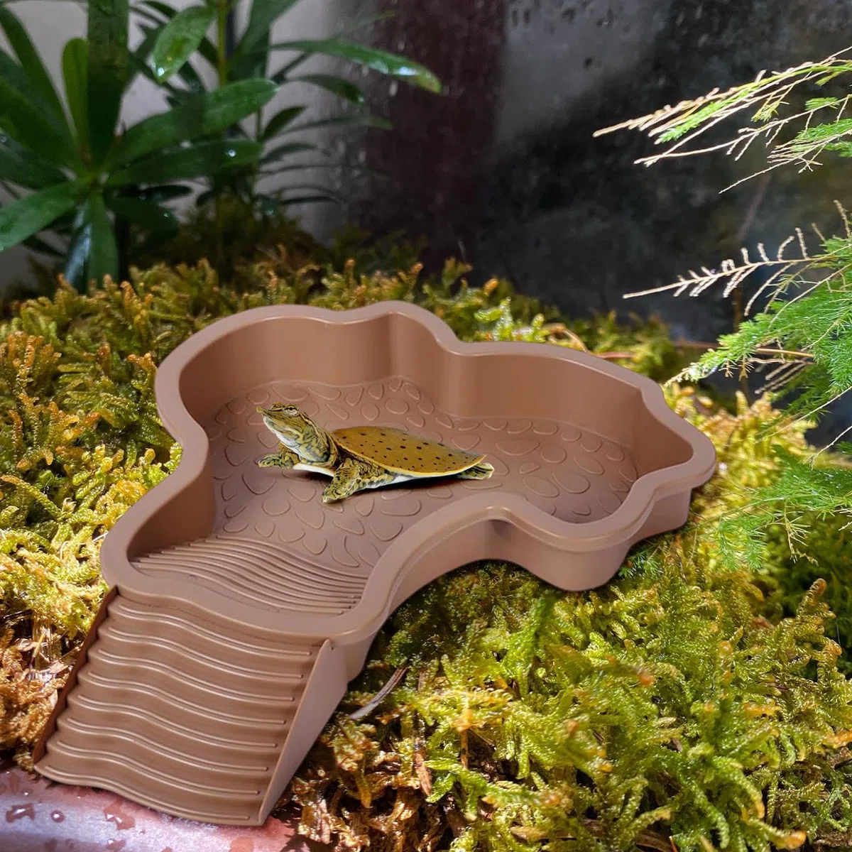 Schildkröten-Badebecken,Haustierbadewanne,mit Anti-Rutsch-Rampe,Großer Raum und Leicht zu Reinigen,Geeignet zum Füttern,Baden und Sonnenbaden für eine Vielzahl von Reptilien (Braunrot)